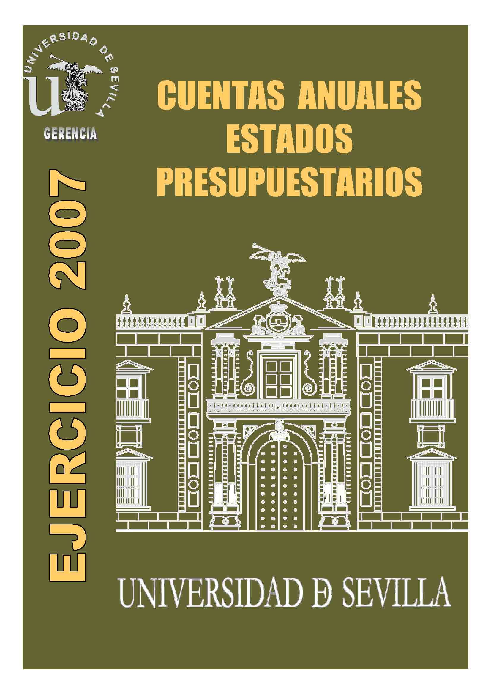 Cuentas Anuales 2007