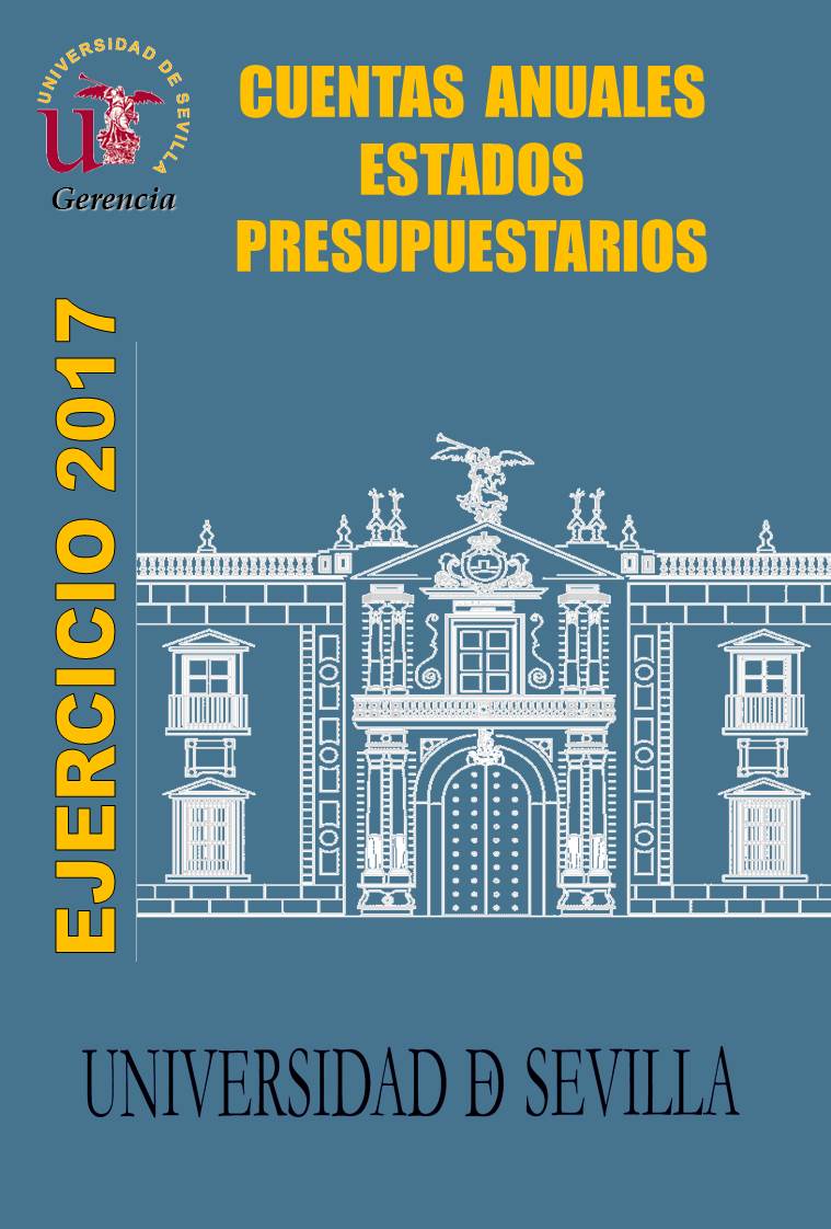 Cuentas Anuales 2017