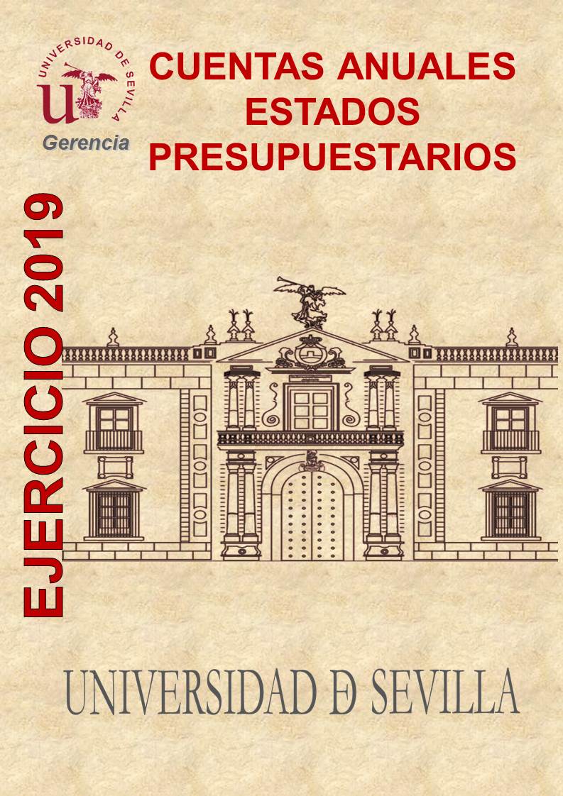 Cuentas Anuales 2019