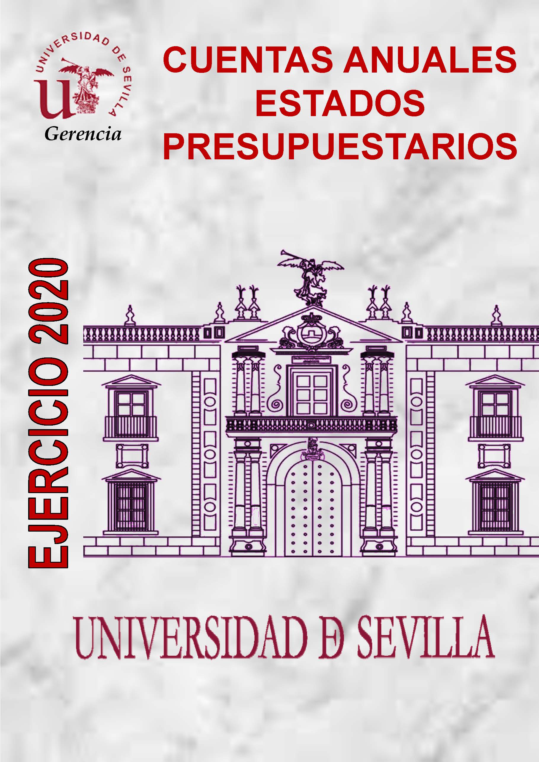Cuentas Anuales 2020