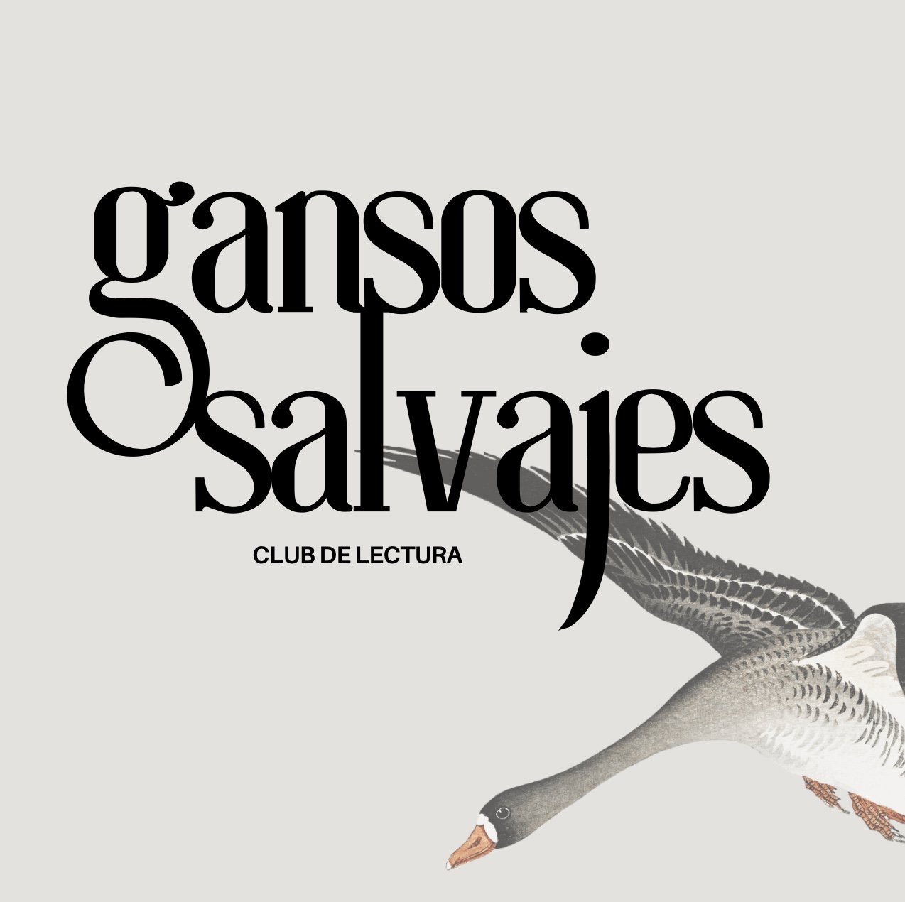 cartel taller