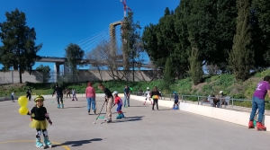 Éxito total en nuestro Carnaval Patín