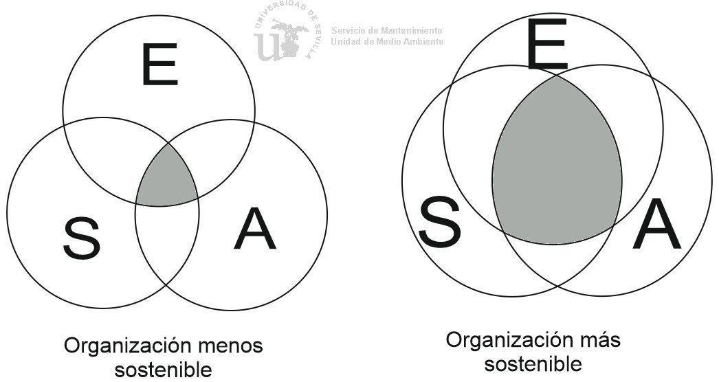 organizaciones sostenibles